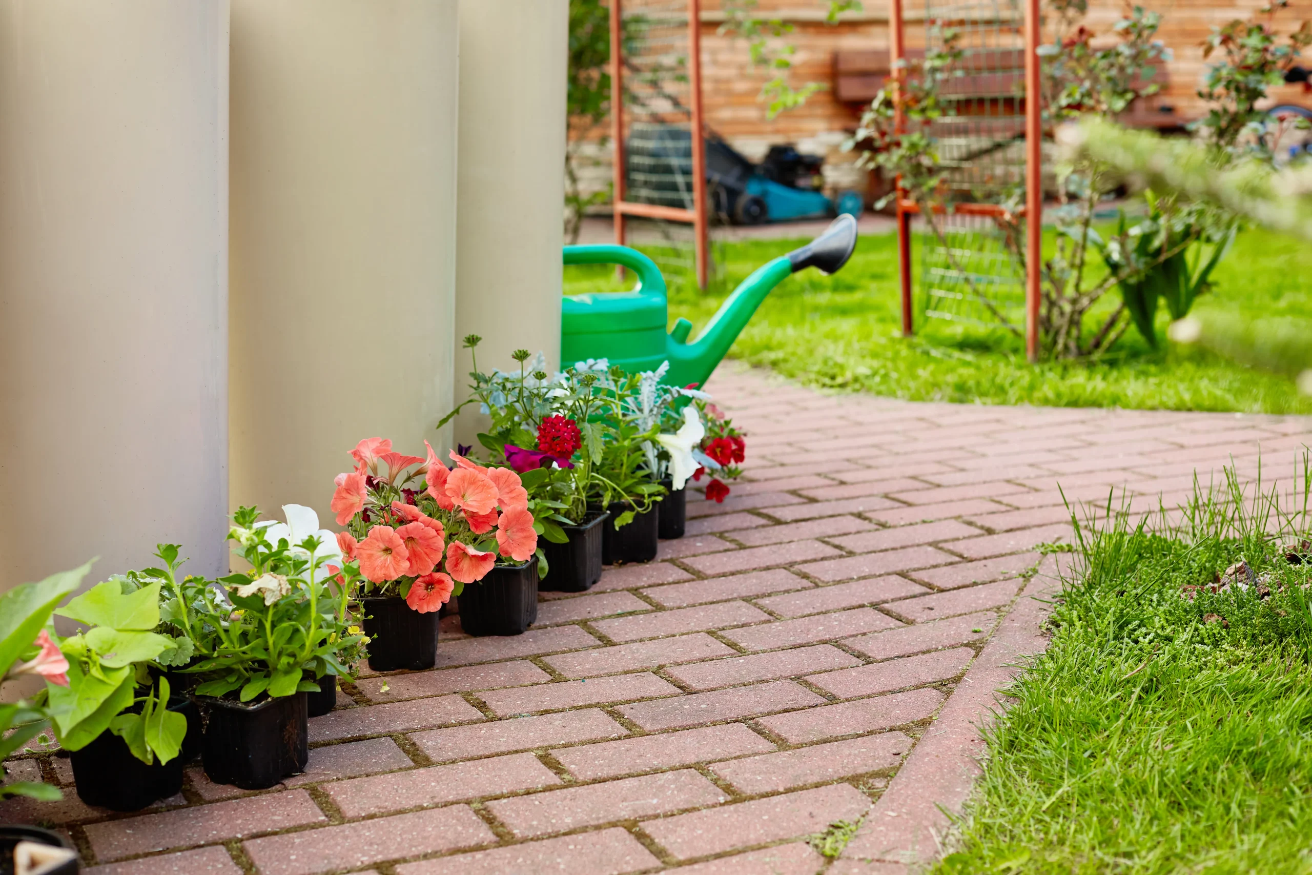  Brick paver walkway surrounded by garden landscaping in a residential yard.
